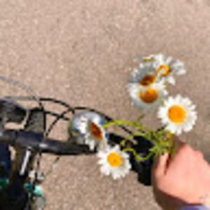 Meet your Posher, Charlie